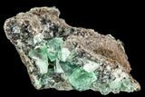Fluorite Crystal Cluster - Rogerley Mine #106121-1